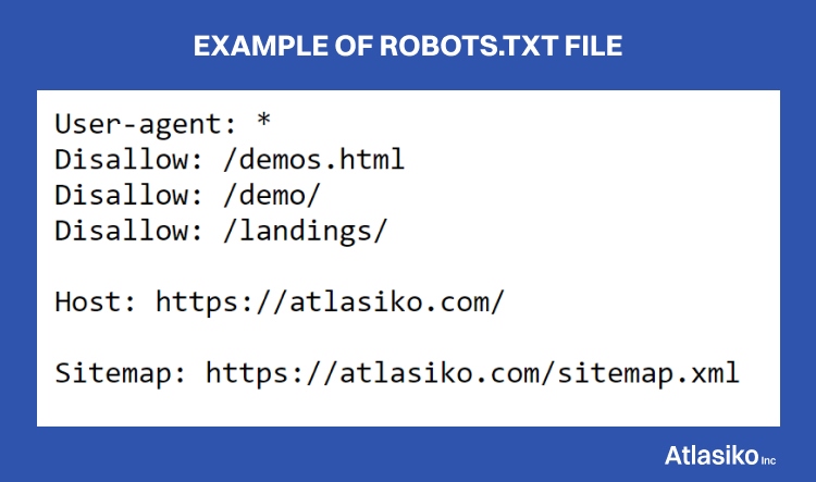 Example Robots Txt File