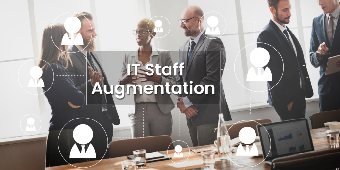 What is IT Staff Augmentation