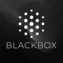 ai blackbox logo